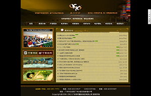 貴州華之美貿(mào)易有限責任公司廣告代理業(yè)務概覽