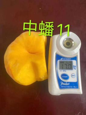 蒙陰篇 巾幗好產品，等您來團購——聚焦散裝及預包裝食品的優質銷售